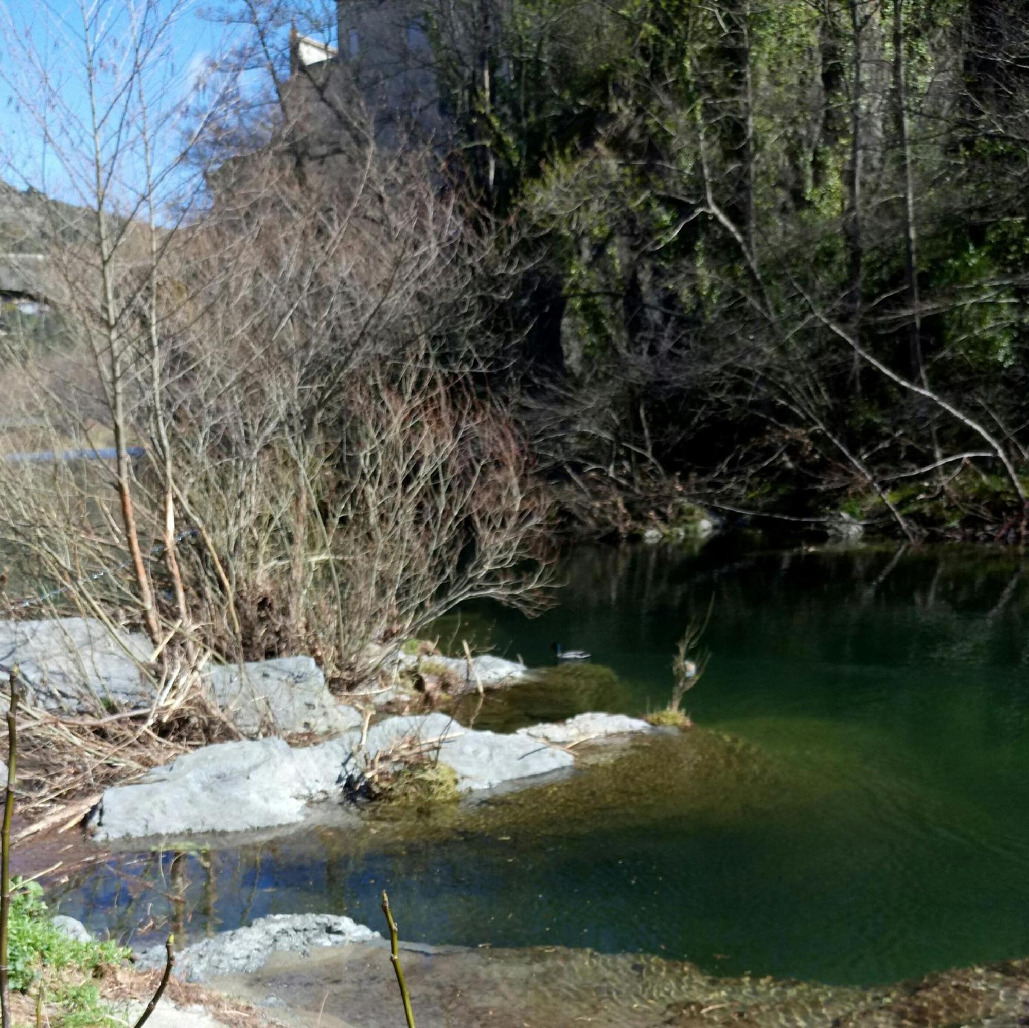 Le Moulin Aux Chandelles 2, Vacances & W-E, Vues Riviere, Montagne & Ville, Tout Confort Deconnecte, Eclairage Bougies, Connexions A 200M Au Centre Le Vigan Gite Les Amoureux De L'Arre, Randonnee Chemin De Saint-Guilhem-Le-Desert, Lire Profil Avant R Extérieur photo